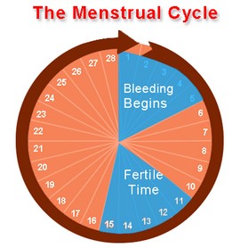 Women Cycles