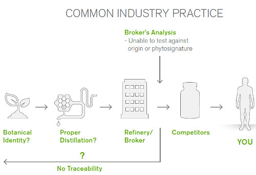 industrypractice