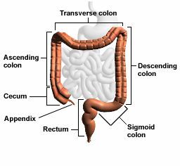 Colon Issues