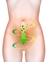 Probiotic Lady