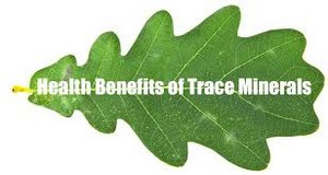 Trace Minerals