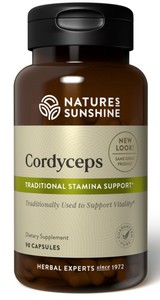 Cordyceps