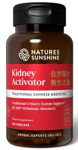 Kidney Activator (Chinese)