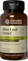 Olive Leaf Extract