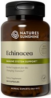 Echinacea