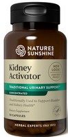 Kidney Activator