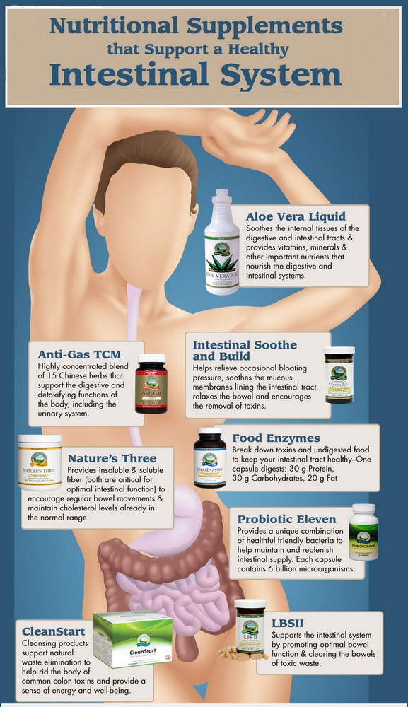 Nutritional Supplements that Support a Healthy Intestinal System