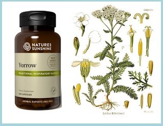 Yarrow