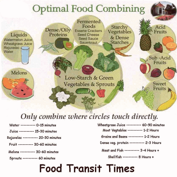 Food Transit Times food-transit-times