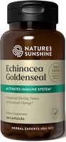 Echinacea Golden Seal